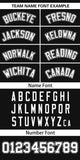 Custom Classic Style Personalized Big Size Full Button Authentic Baseball Jersey