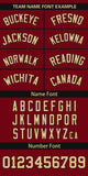 Custom Classic Style Personalized Big Size Full Button Authentic Baseball Jersey