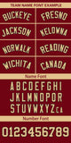 Custom Classic Style Personalized for Adults Full Button Authentic Baseball Jersey