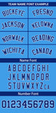 Custom Classic Style Personalized Logo for Men Full Button Authentic Baseball Jersey