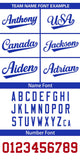 Custom Classic Style Full Button Authentic Baseball Jersey Personalized for Adults
