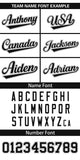 Custom Classic Style Full Button Authentic Baseball Jersey Personalized Logo for Men