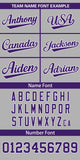 Custom Classic Style Full Button Authentic Baseball Jersey Personalized for Adults