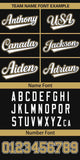 Custom Classic Style Full Button Authentic Baseball Jersey Personalized Logo for Men