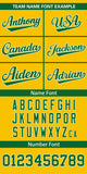 Custom Classic Style Full Button Authentic Baseball Jersey Personalized Your Style