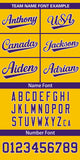 Custom Classic Style Full Button Authentic Baseball Jersey Personalized Logo for Men