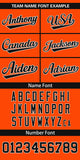 Custom Classic Style Full Button Authentic Baseball Jersey Personalized Big Size