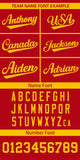 Custom Classic Style Full Button Authentic Baseball Jersey Personalized for Adults