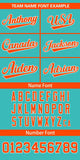 Custom Classic Style Full Button Authentic Baseball Jersey Personalized Name Number