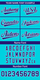 Custom Classic Style Full Button Authentic Baseball Jersey Personalized Logo for Men