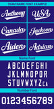 Custom Classic Style Full Button Authentic Baseball Jersey Personalized Logo for Men