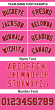 Custom Classic Style Baseball Jersey Personalized Gradient Ribbed Design Hiphop Jersey for Party For Unisex