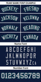 Custom Classic Style Baseball Jersey Personalized Gradient Ribbed Design Hiphop Jersey for Party For Unisex