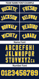 Custom Classic Style Baseball Jersey Personalized Gradient Ribbed Design Hiphop Jersey for Party For Unisex