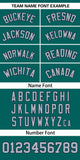 Custom Classic Style Baseball Jersey Personalized Gradient Ribbed Design Fashion Clothing Baseball Jersey For Unisex