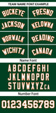 Custom Classic Style Baseball Jersey Personalized Gradient Ribbed Blank Plain Design Style Sportwear For Unisex