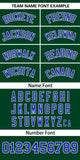 Custom Classic Style Baseball Jersey Personalized Gradient Ribbed Blank Plain Design Style Sportwear For Unisex