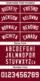 Custom Classic Style Personalized Gradient Ribbed Design Button Down Baseball Jersey Sportswear For Unisex