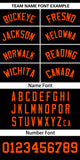 Custom Classic Style Baseball Jersey Personalized Gradient Ribbed Design Button Down Unisex Hip Hop Shirts For Unisex