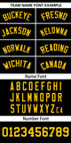 Custom Classic Style Baseball Jersey Personalized Gradient Ribbed Design Button Down Unisex Hip Hop Shirts For Unisex