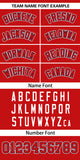 Custom Classic Style Baseball Jersey Personalized Gradient Ribbed Design Button Down Unisex Hip Hop Shirts For Unisex