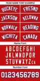 Custom Classic Style Personalized Gradient Ribbed Design Button Down Baseball Jersey Sportswear For Unisex