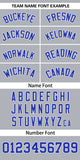 Custom Classic Style Personalized Gradient Ribbed Design Button Down Training Wear Sports Jerseys For Unisex