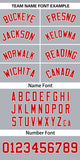 Custom Classic Style Personalized Gradient Ribbed Baseball Shirt Hiphop Clothing for Party For Unisex
