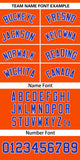 Custom Classic Style Personalized Gradient Ribbed Design Button Down Training Wear Sports Jerseys For Unisex