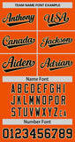 Custom Thorns Ribbed Classic Style Personalzied Team Name Number Logo Baseball Jersey Team Shirt