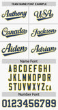 Custom Thorns Ribbed Classic Style Personalzied Team Name Number Logo Baseball Jersey Hip Hop Jersey