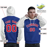 Custom Traditional All-Ages Sport Pullover Raglan Sleeves Hoodie For Man Embroideried Your Team Logo