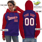 Custom Women's Raglan Sleeves Universal Pullover Hoodie Embroideried Your Team Logo And Number Sportswear